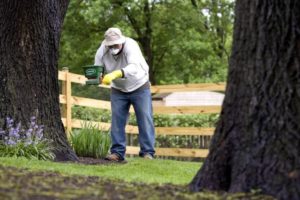 Man applying fertilizer to lawn