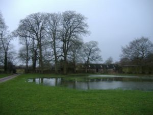 Flooded lawn