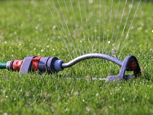 Sprinkler watering grass