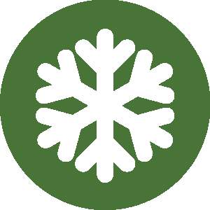 Snowflake Icon