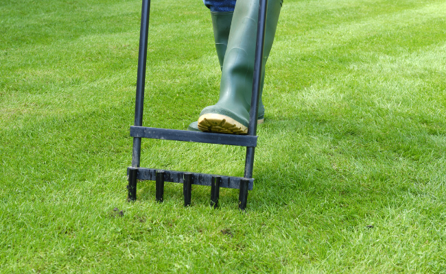 someone aerating their lawn using a tool