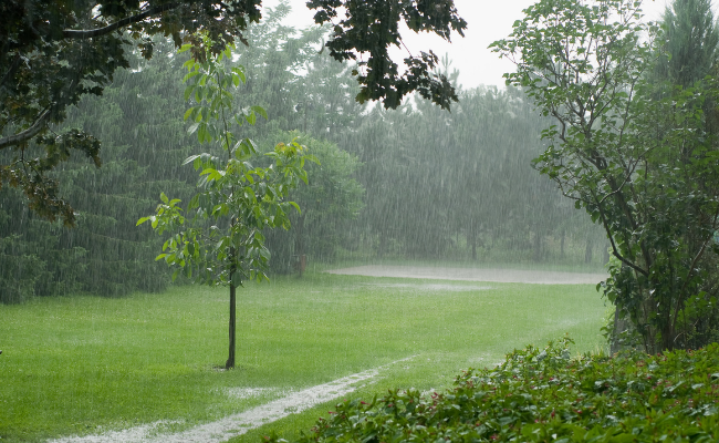 colorado rain