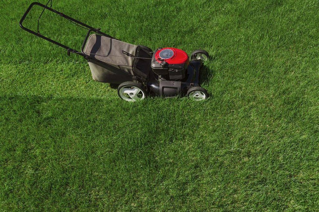 lawnmower on green grass