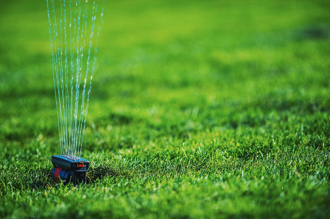 sprinkler watering grass