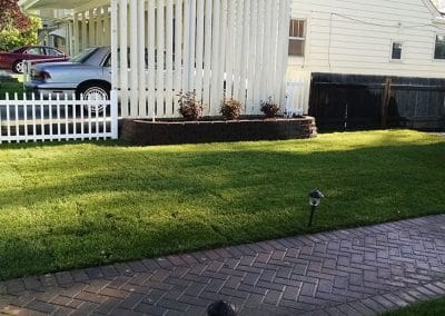 Yeti Grass Front Yard