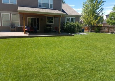 Highlands Ranch Backyard Sod renovation