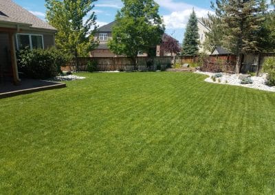 Highlands Ranch Backyard Sod renovation