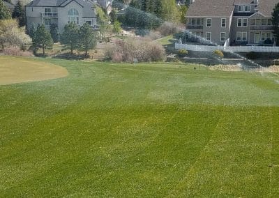 Sod being watered