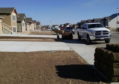 Riverview Farm Sod on Pallets