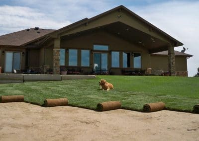 Yeti Grass Install