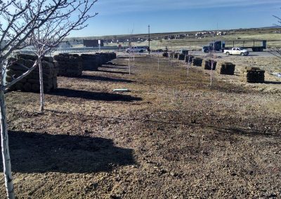 before sod installation