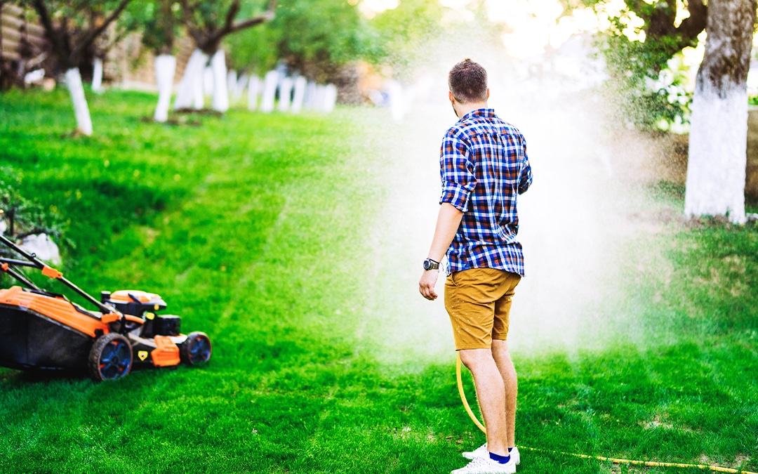 man in blue shirt watering lawn