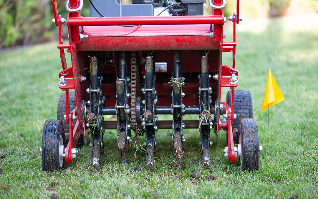 Red grass lawn aerator