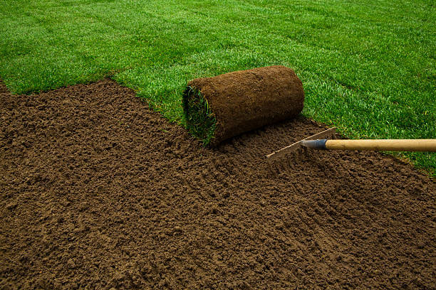 Beginner Basics: How to Lay Sod Over Existing Grass