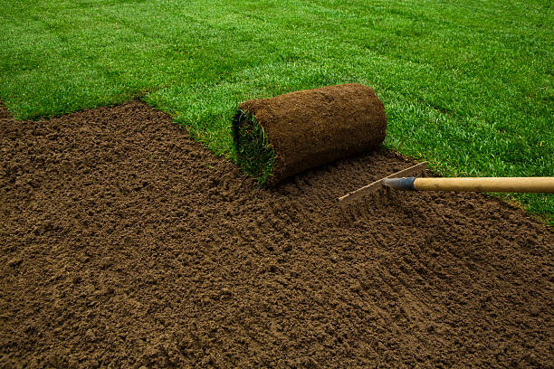 laying down sod