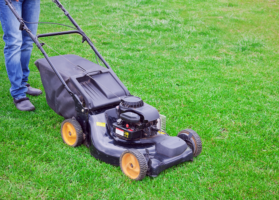 How Long to Wait Before Mowing New Sod